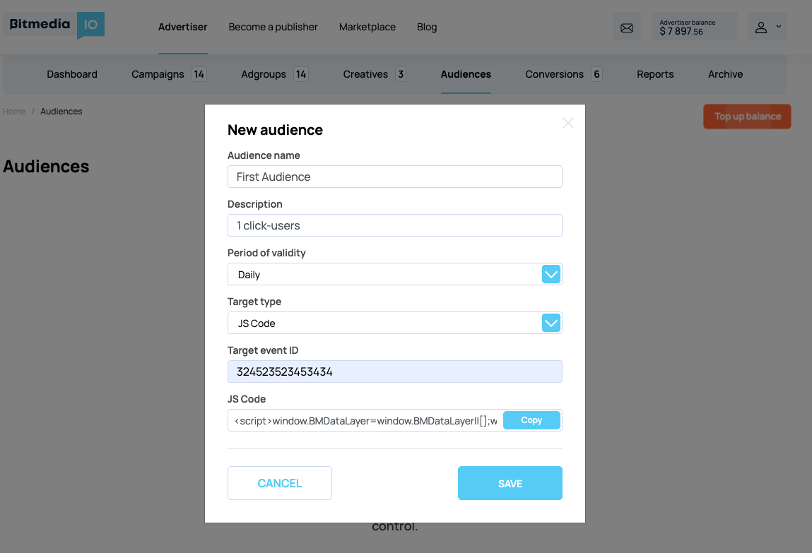 Configure Audience Settings JS code