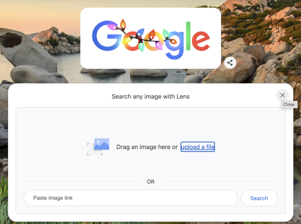 google image search 1