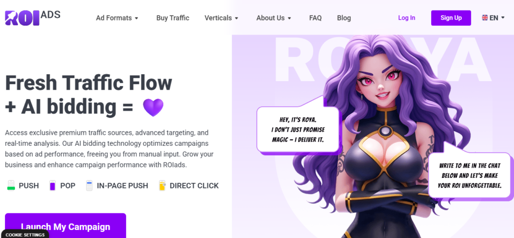 ROIads homepage, Source: ROIads